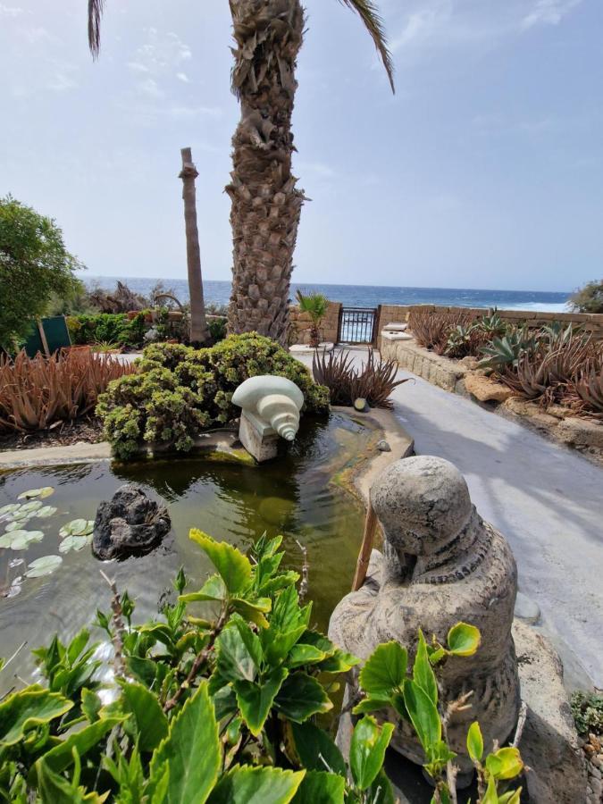 Little Paradise In El Medano Granadilla De Abona Luaran gambar