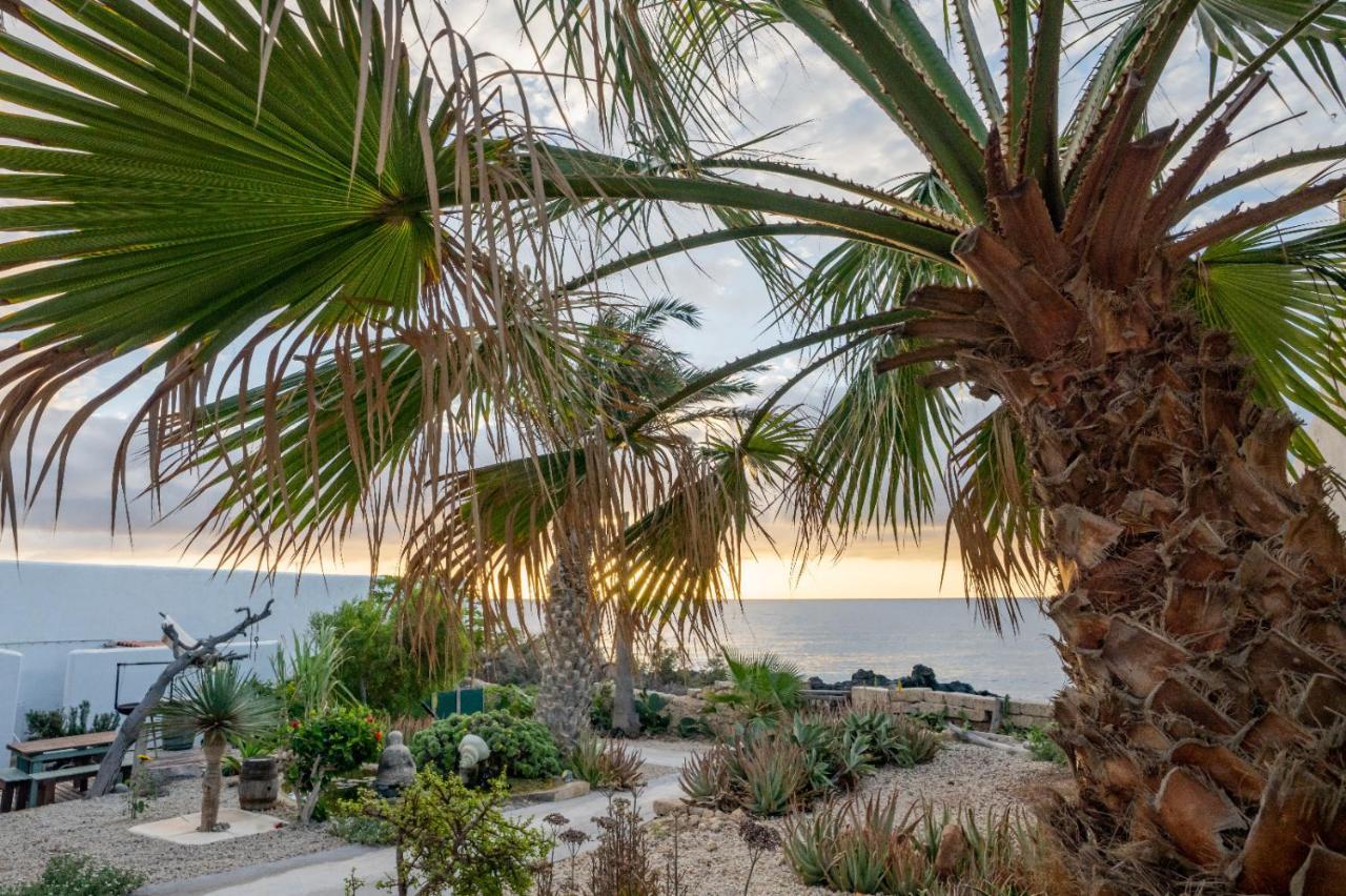 Little Paradise In El Medano Granadilla De Abona Luaran gambar