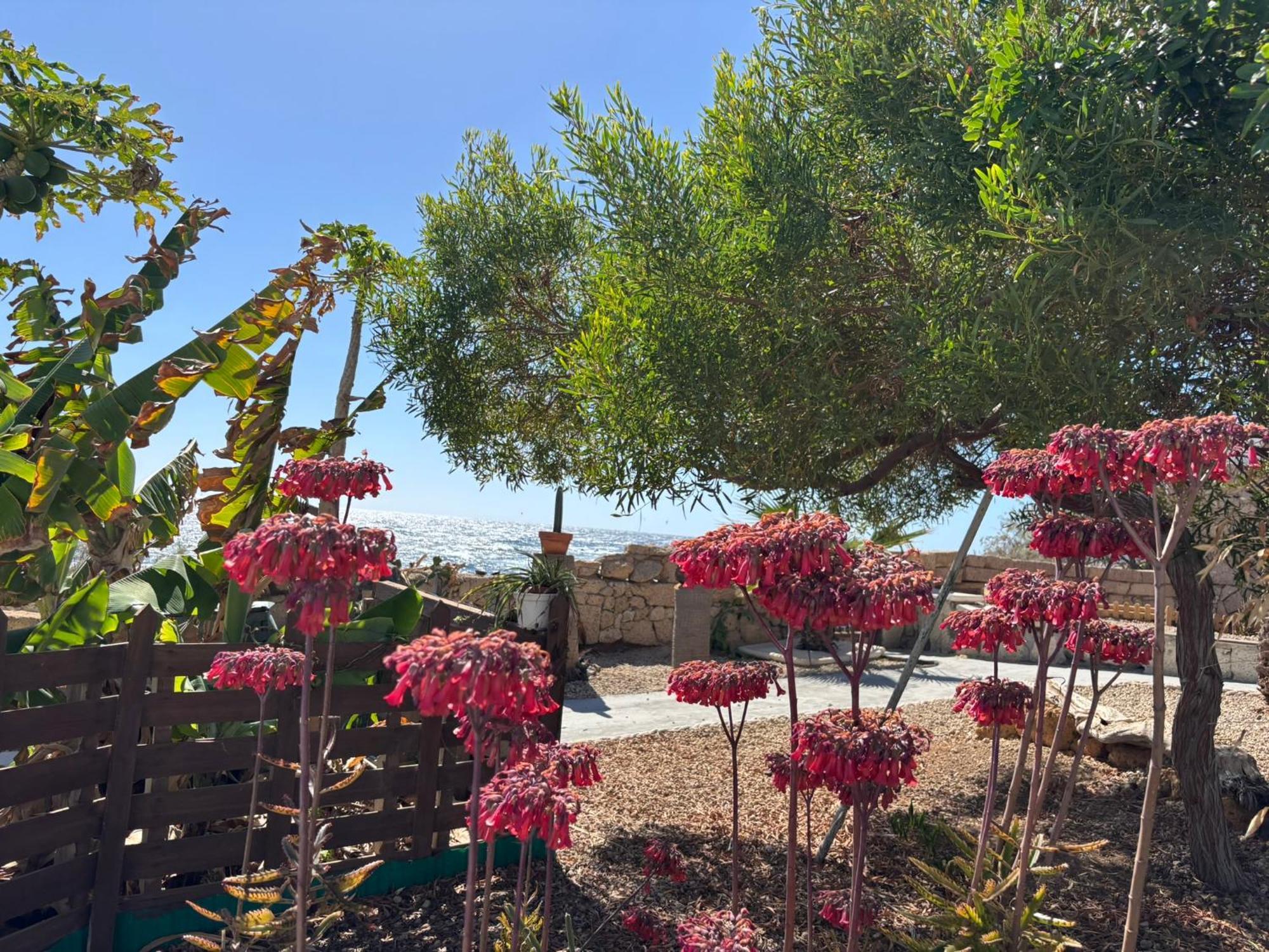 Little Paradise In El Medano Granadilla De Abona Luaran gambar